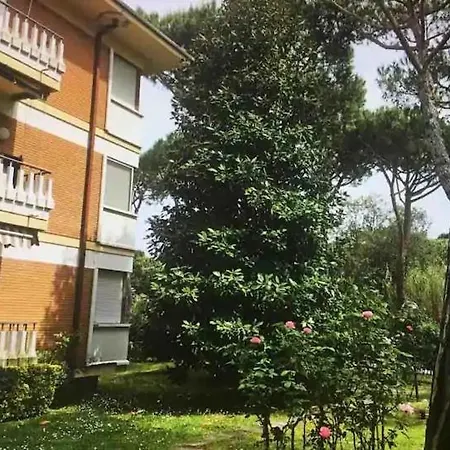La Rosa Del Deserto, Versilia * مارينا دي ماسا
