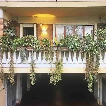 La Rosa Del Deserto, Versilia * مارينا دي ماسا